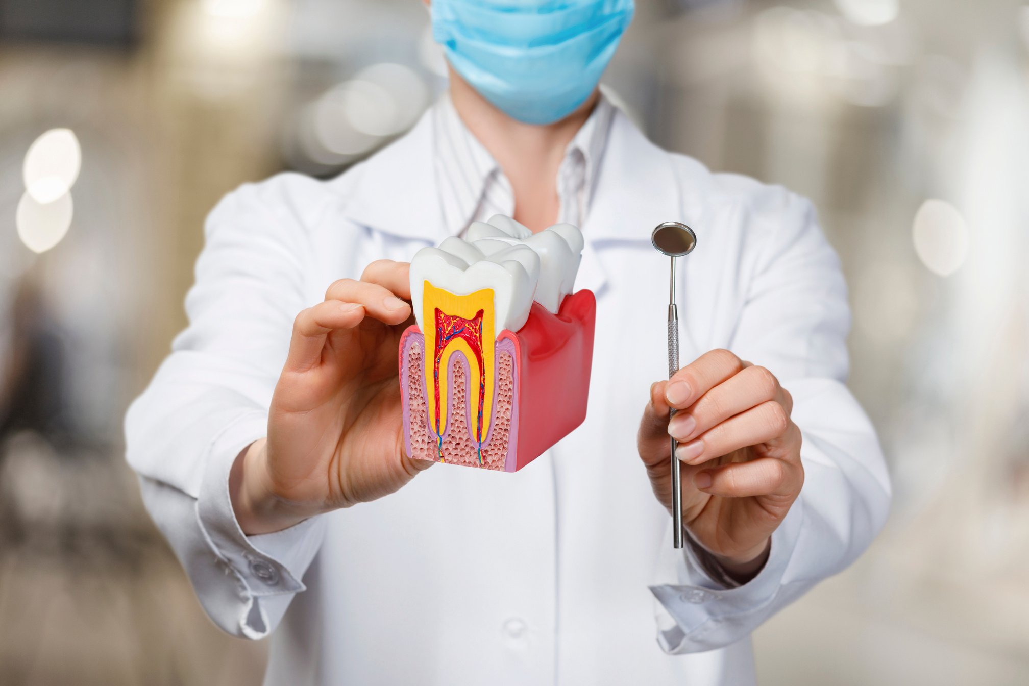 Dental treatment service concept.